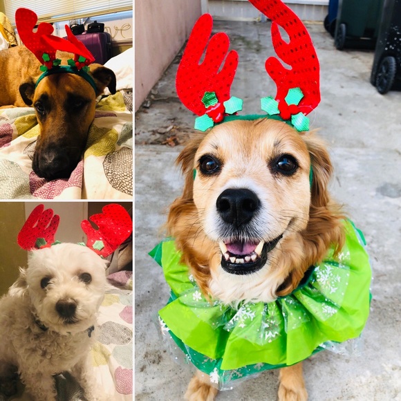 Meet your Posher, Maria - Picture 7 of 7